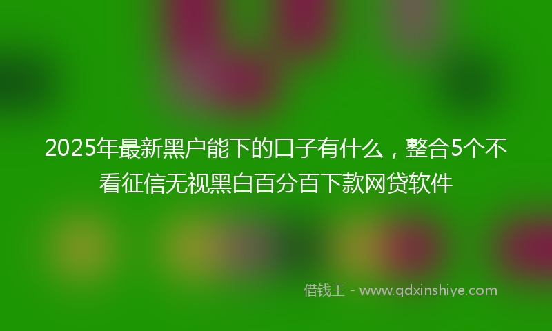2025年最新黑户能下的口子有什么，整合5个不看征信无视黑白百分百下款网贷软件