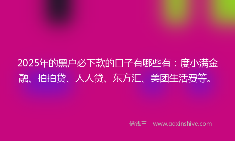 2025年的黑户必下款的口子有哪些有：度小满金融、拍拍贷、人人贷、东方汇、美团生活费等。