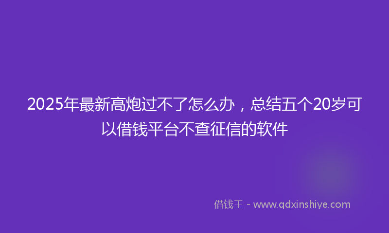 2025年最新高炮过不了怎么办，总结五个20岁可以借钱平台不查征信的软件