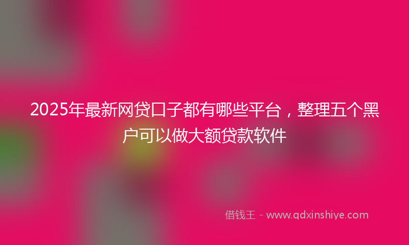 2025年最新网贷口子都有哪些平台，整理五个黑户可以做大额贷款软件