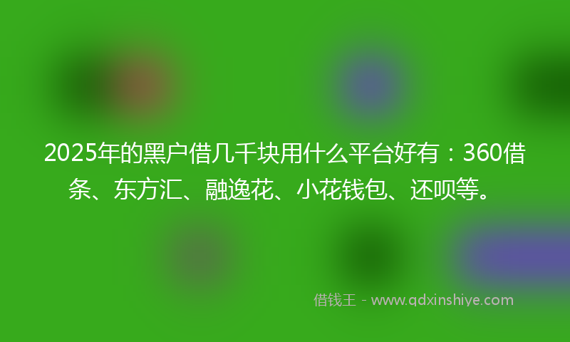 2025年的黑户借几千块用什么平台好有：360借条、东方汇、融逸花、小花钱包、还呗等。