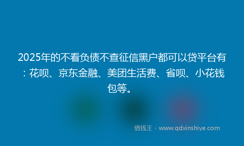 2025年的不看负债不查征信黑户都可以贷平台有：花呗、京东金融、美团生活费、省呗、小花钱包等。