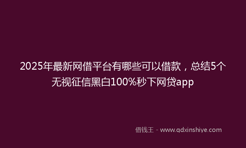 2025年最新网借平台有哪些可以借款，总结5个无视征信黑白100%秒下网贷app