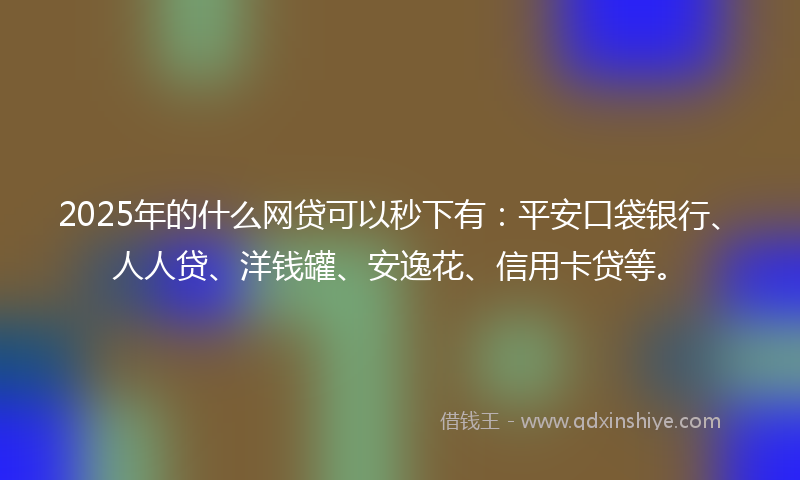 2025年的什么网贷可以秒下有：平安口袋银行、人人贷、洋钱罐、安逸花、信用卡贷等。
