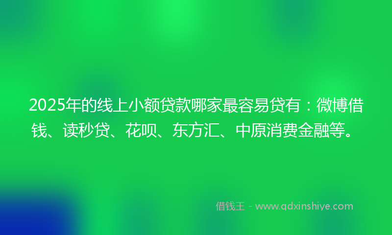 2025年的线上小额贷款哪家最容易贷有：微博借钱、读秒贷、花呗、东方汇、中原消费金融等。