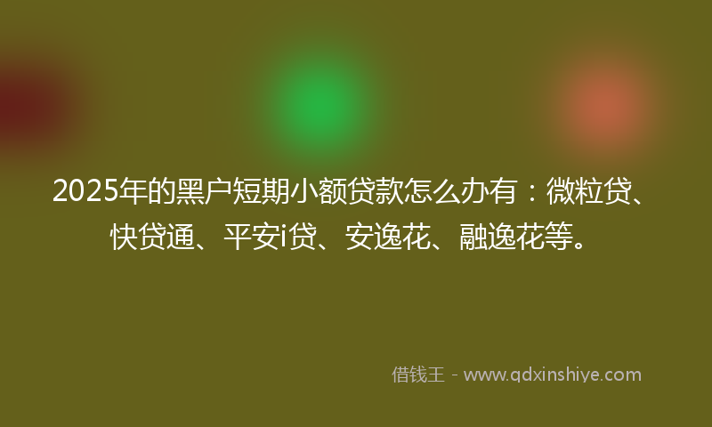 2025年的黑户短期小额贷款怎么办有：微粒贷、快贷通、平安i贷、安逸花、融逸花等。