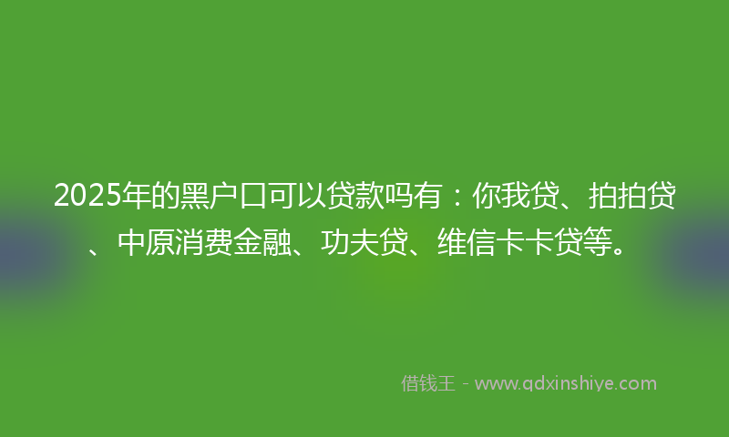 2025年的黑户口可以贷款吗有：你我贷、拍拍贷、中原消费金融、功夫贷、维信卡卡贷等。