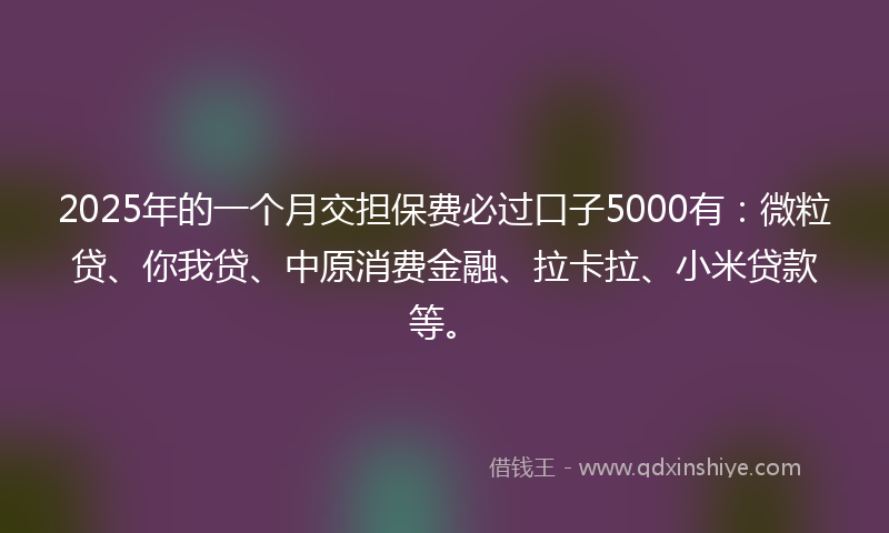 2025年的一个月交担保费必过口子5000有：微粒贷、你我贷、中原消费金融、拉卡拉、小米贷款等。