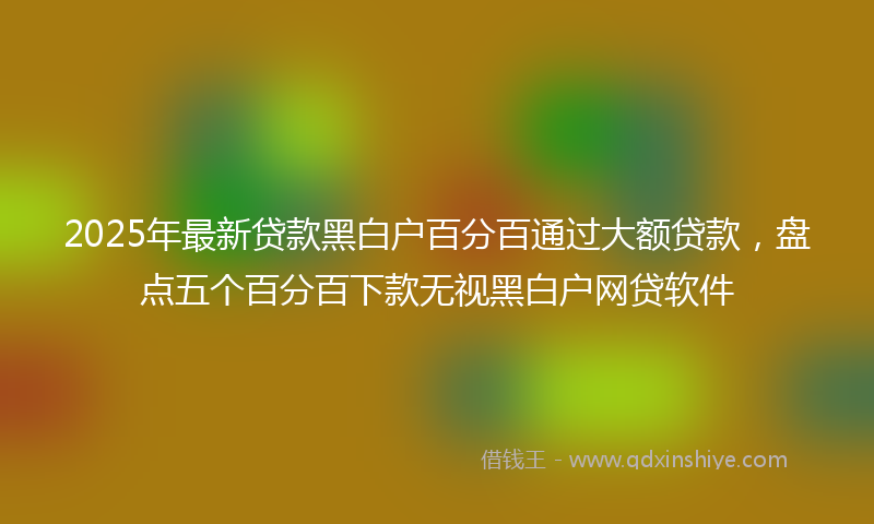 2025年最新贷款黑白户百分百通过大额贷款，盘点五个百分百下款无视黑白户网贷软件