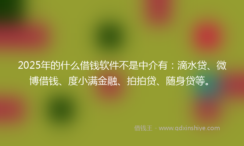 2025年的什么借钱软件不是中介有：滴水贷、微博借钱、度小满金融、拍拍贷、随身贷等。