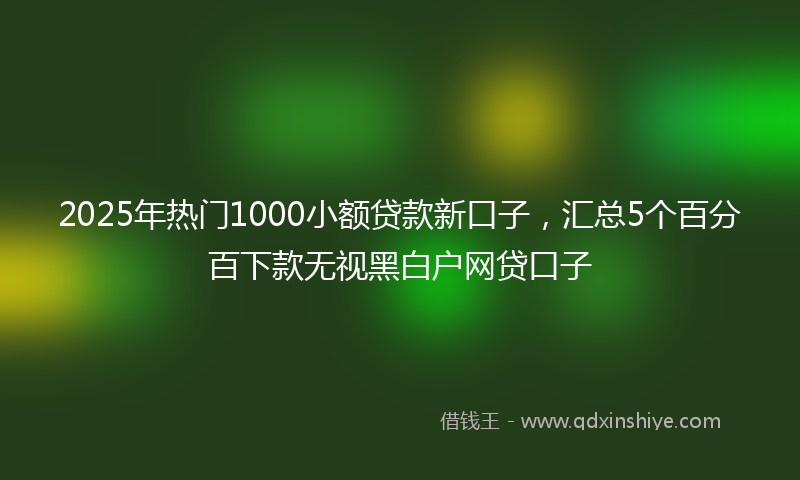2025年热门1000小额贷款新口子，汇总5个百分百下款无视黑白户网贷口子