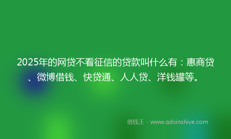 2025年的网贷不看征信的贷款叫什么有：惠商贷、微博借钱、快贷通、人人贷、洋钱罐等。