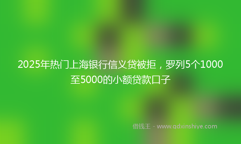 2025年热门上海银行信义贷被拒，罗列5个1000至5000的小额贷款口子