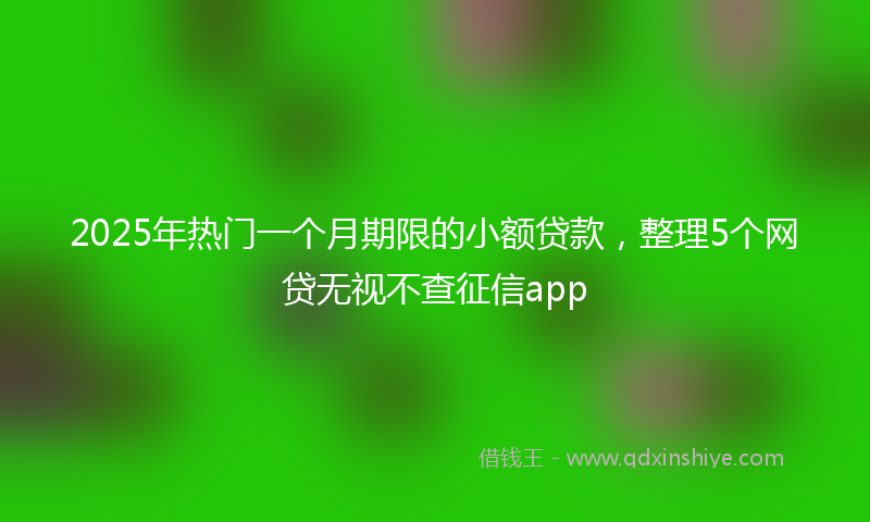 2025年热门一个月期限的小额贷款，整理5个网贷无视不查征信app