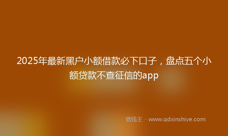 2025年最新黑户小额借款必下口子，盘点五个小额贷款不查征信的app