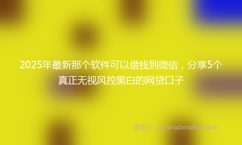 2025年最新那个软件可以借钱到微信，分享5个真正无视风控黑白的网贷口子