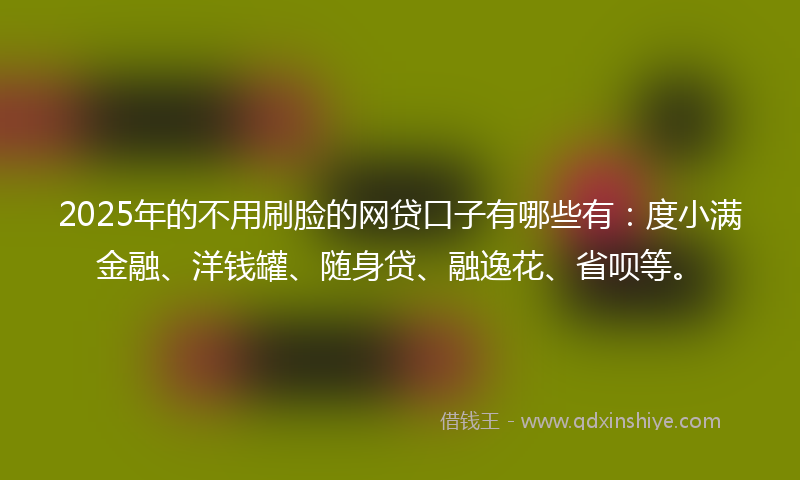 2025年的不用刷脸的网贷口子有哪些有：度小满金融、洋钱罐、随身贷、融逸花、省呗等。