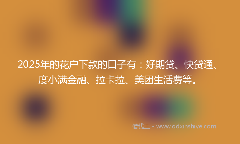 2025年的花户下款的口子有：好期贷、快贷通、度小满金融、拉卡拉、美团生活费等。