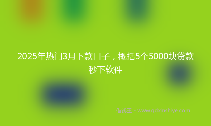 2025年热门3月下款口子，概括5个5000块贷款秒下软件