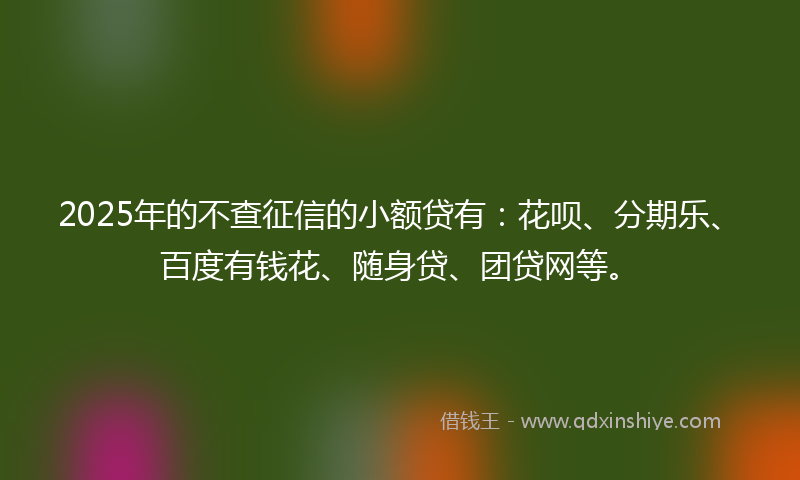 2025年的不查征信的小额贷有：花呗、分期乐、百度有钱花、随身贷、团贷网等。