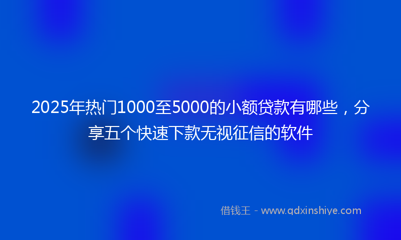 2025年热门1000至5000的小额贷款有哪些，分享五个快速下款无视征信的软件