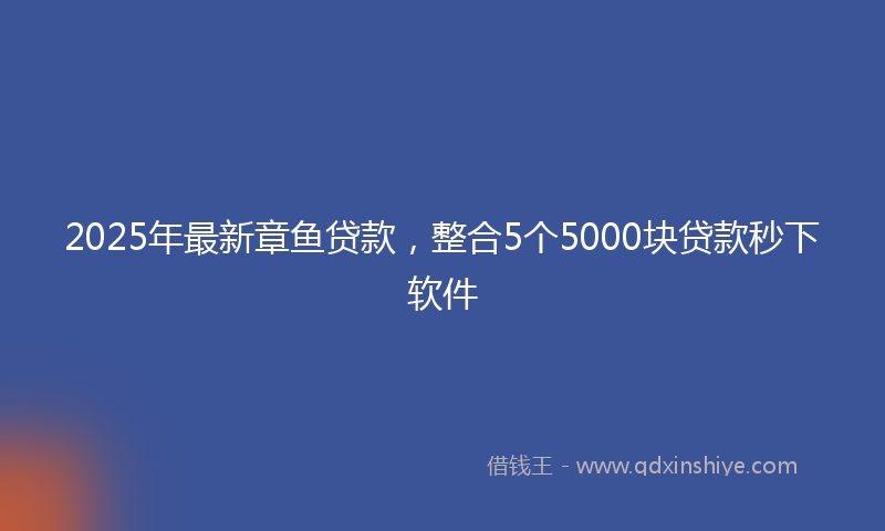 2025年最新章鱼贷款，整合5个5000块贷款秒下软件