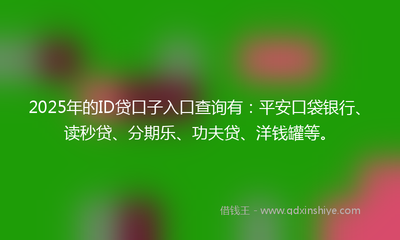 2025年的ID贷口子入口查询有：平安口袋银行、读秒贷、分期乐、功夫贷、洋钱罐等。