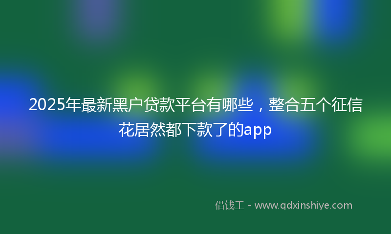 2025年最新黑户贷款平台有哪些，整合五个征信花居然都下款了的app