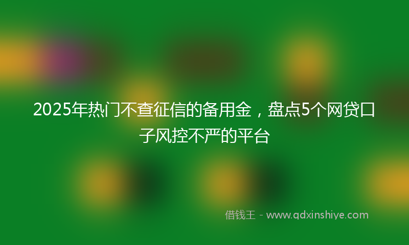 2025年热门不查征信的备用金，盘点5个网贷口子风控不严的平台