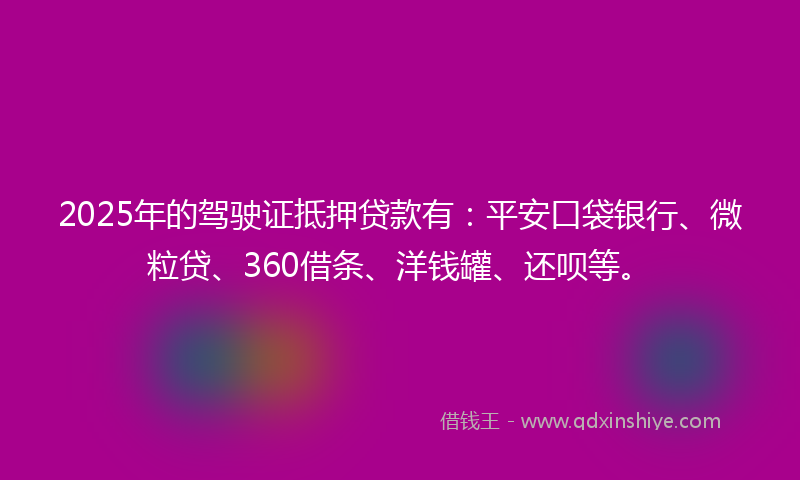 2025年的驾驶证抵押贷款有：平安口袋银行、微粒贷、360借条、洋钱罐、还呗等。
