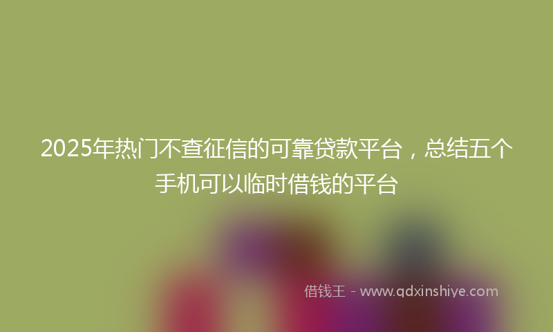 2025年热门不查征信的可靠贷款平台，总结五个手机可以临时借钱的平台