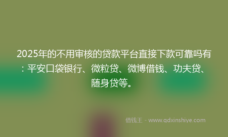 2025年的不用审核的贷款平台直接下款可靠吗有：平安口袋银行、微粒贷、微博借钱、功夫贷、随身贷等。