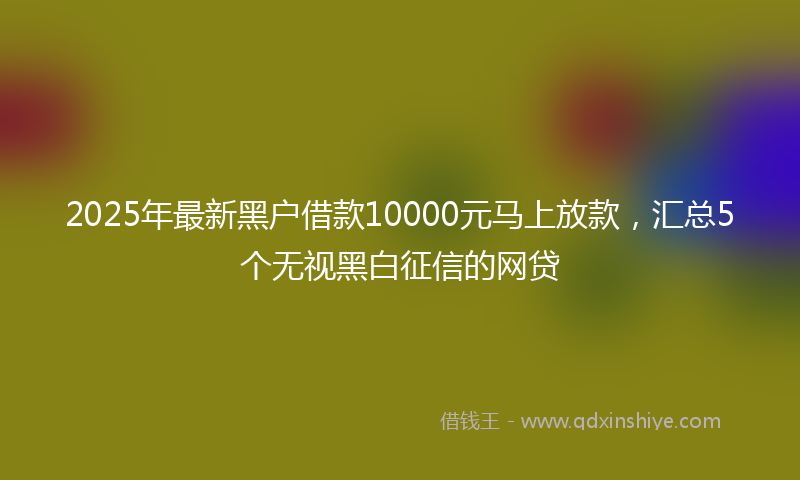 2025年最新黑户借款10000元马上放款，汇总5个无视黑白征信的网贷