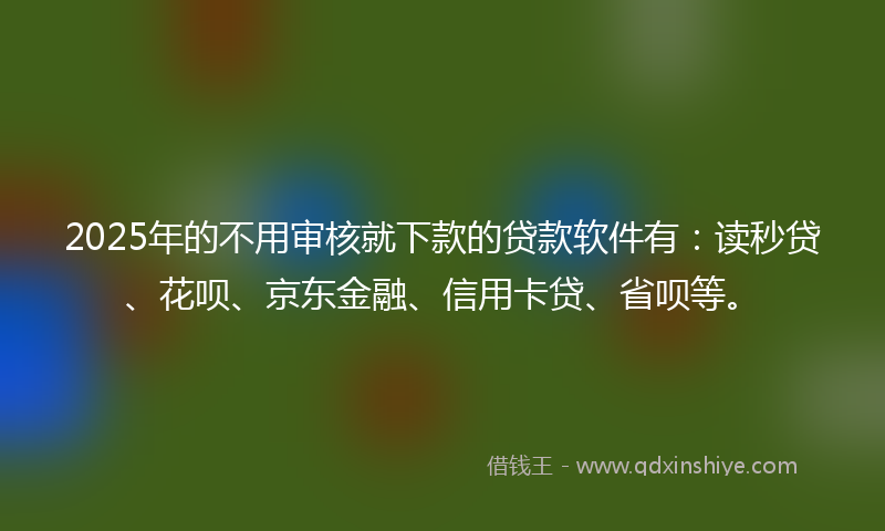 2025年的不用审核就下款的贷款软件有：读秒贷、花呗、京东金融、信用卡贷、省呗等。