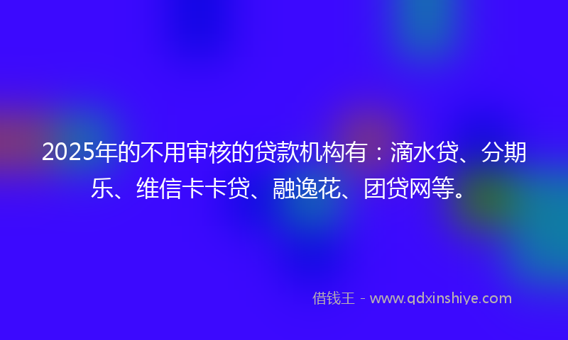 2025年的不用审核的贷款机构有：滴水贷、分期乐、维信卡卡贷、融逸花、团贷网等。