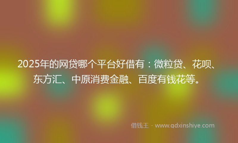 2025年的网贷哪个平台好借有：微粒贷、花呗、东方汇、中原消费金融、百度有钱花等。