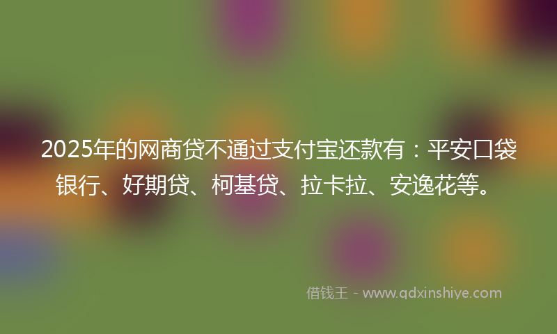 2025年的网商贷不通过支付宝还款有：平安口袋银行、好期贷、柯基贷、拉卡拉、安逸花等。