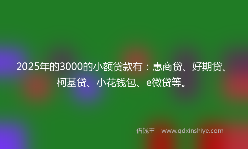 2025年的3000的小额贷款有：惠商贷、好期贷、柯基贷、小花钱包、e微贷等。