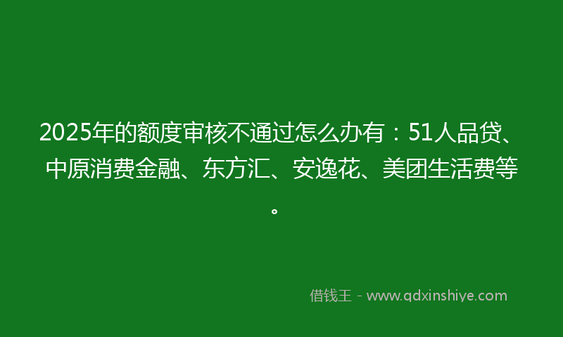 2025年的额度审核不通过怎么办有：51人品贷、中原消费金融、东方汇、安逸花、美团生活费等。