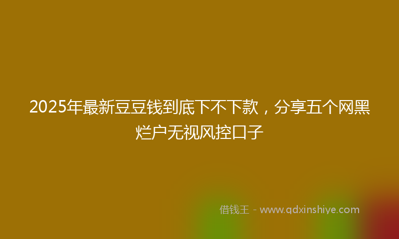 2025年最新豆豆钱到底下不下款，分享五个网黑烂户无视风控口子