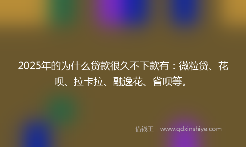 2025年的为什么贷款很久不下款有：微粒贷、花呗、拉卡拉、融逸花、省呗等。