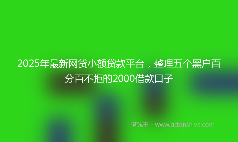 2025年最新网贷小额贷款平台，整理五个黑户百分百不拒的2000借款口子