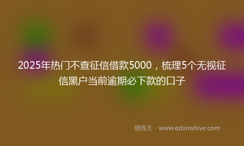2025年热门不查征信借款5000，梳理5个无视征信黑户当前逾期必下款的口子