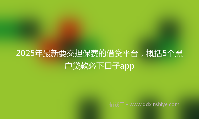 2025年最新要交担保费的借贷平台，概括5个黑户贷款必下口子app