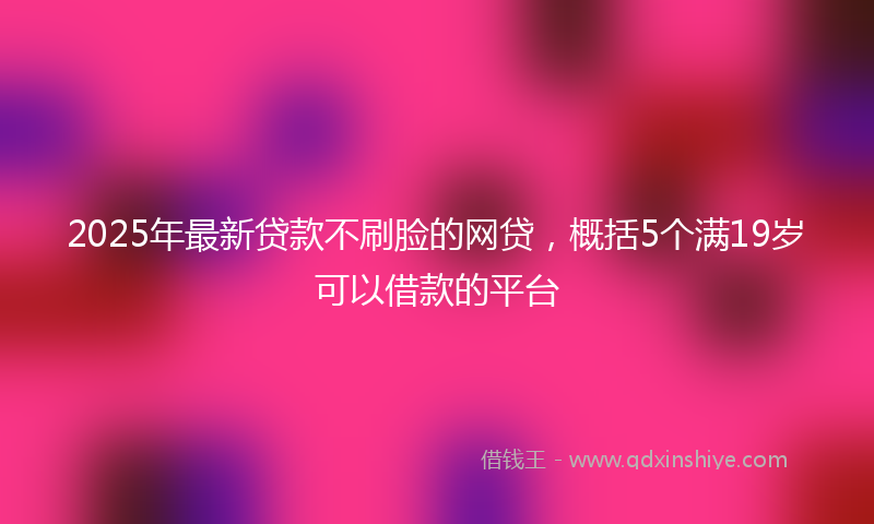 2025年最新贷款不刷脸的网贷，概括5个满19岁可以借款的平台