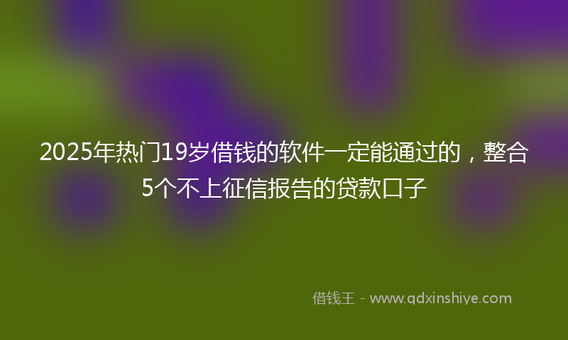 2025年热门19岁借钱的软件一定能通过的，整合5个不上征信报告的贷款口子