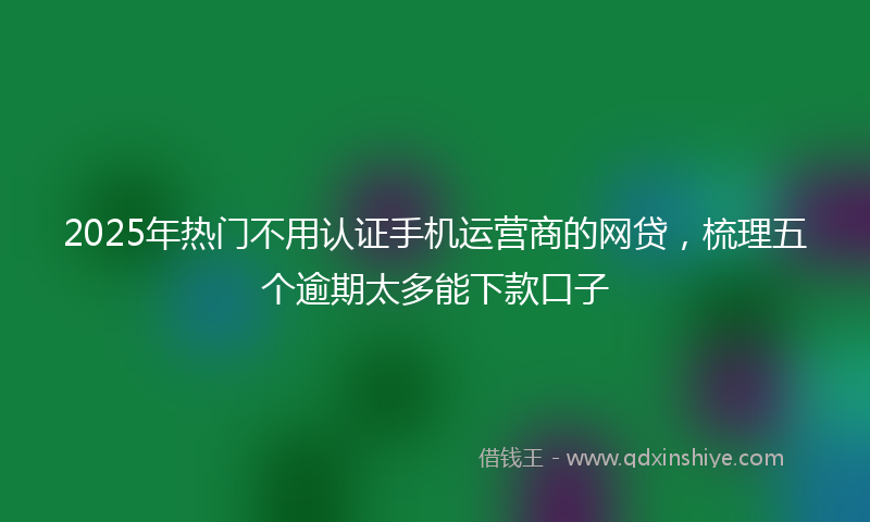 2025年热门不用认证手机运营商的网贷，梳理五个逾期太多能下款口子