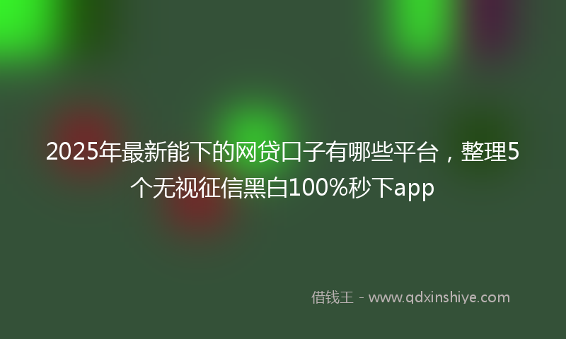 2025年最新能下的网贷口子有哪些平台，整理5个无视征信黑白100%秒下app