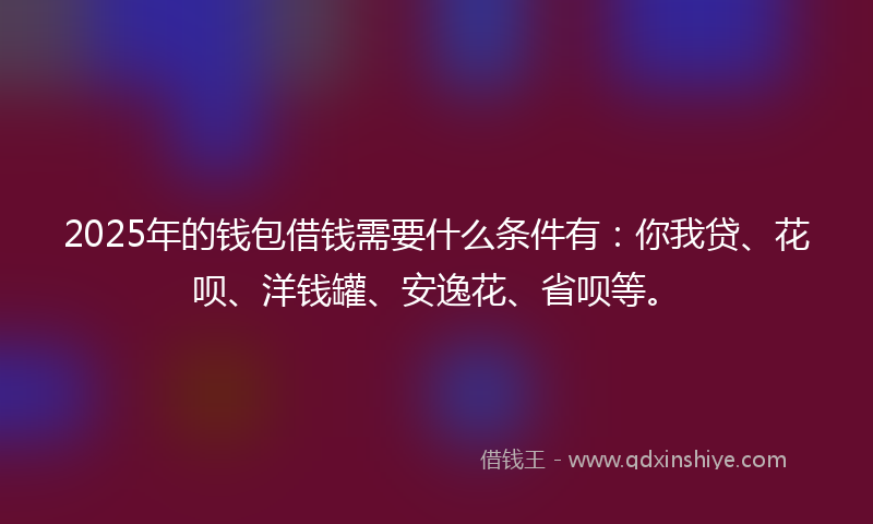 2025年的钱包借钱需要什么条件有：你我贷、花呗、洋钱罐、安逸花、省呗等。