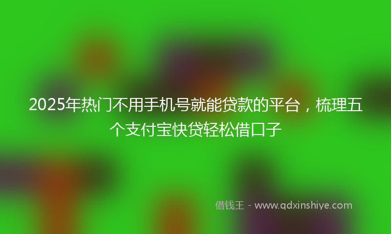 2025年热门不用手机号就能贷款的平台，梳理五个支付宝快贷轻松借口子